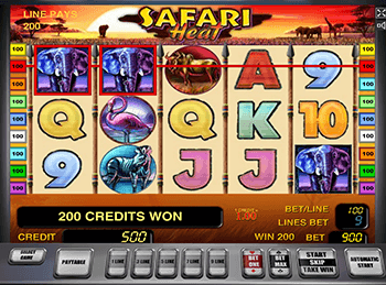 Safari Heat в клубе Вулкан 24